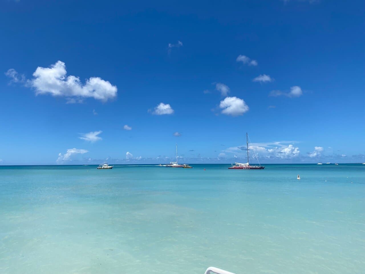 Baby Beach at TripAdvisor