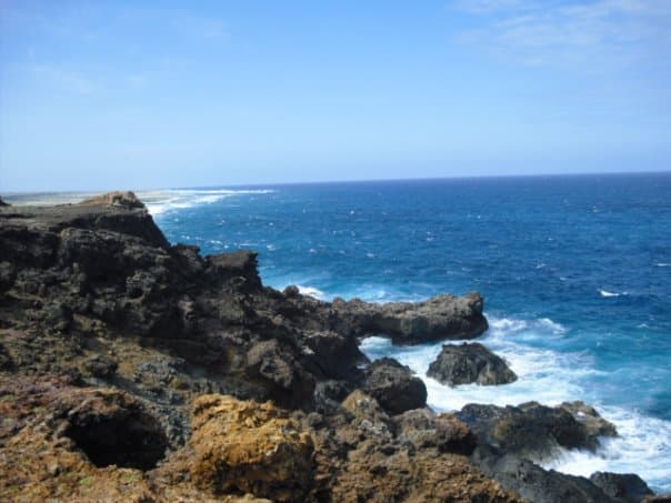 Malmok Reef at TripAdvisor
