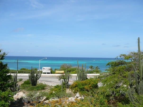 Rodgers Beach at TripAdvisor