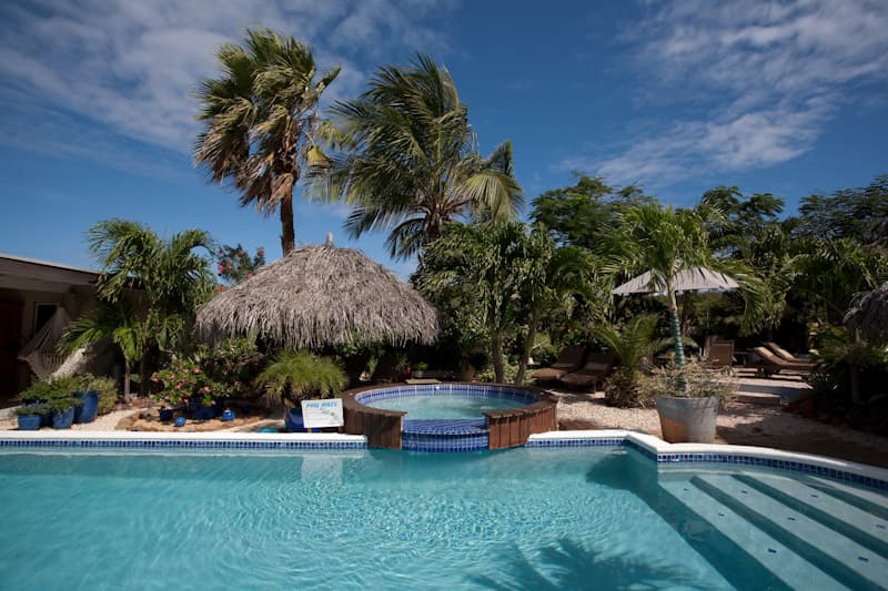 our tropical garden at Bananas apartments