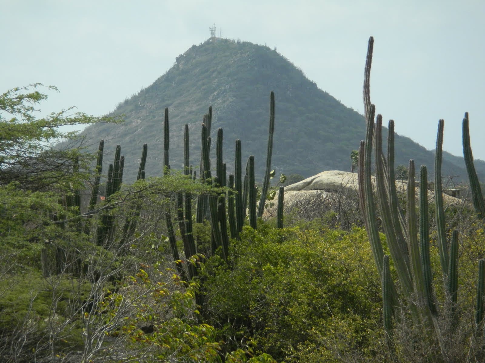 Hooiberg from a distance