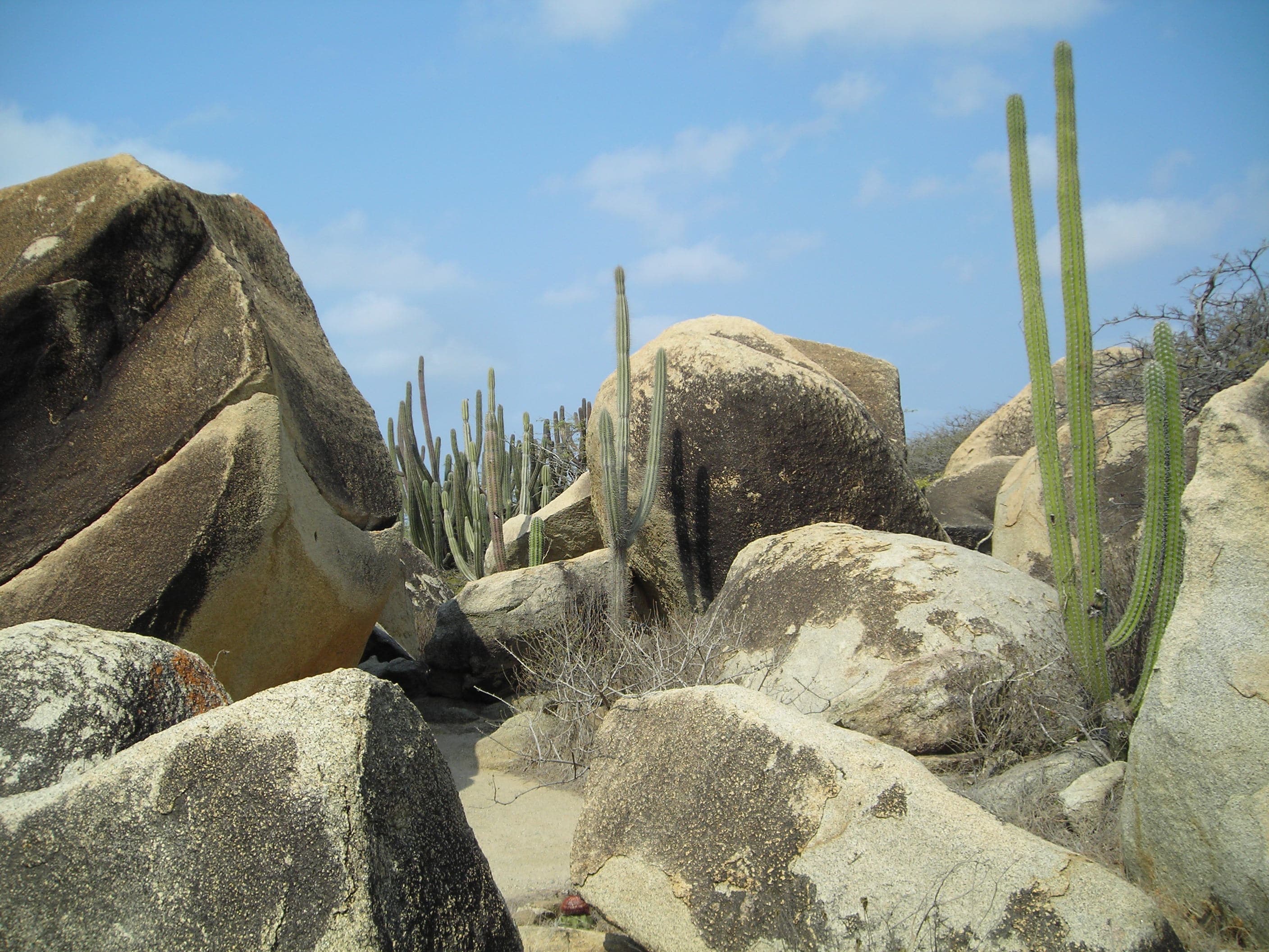 Interesting landscape