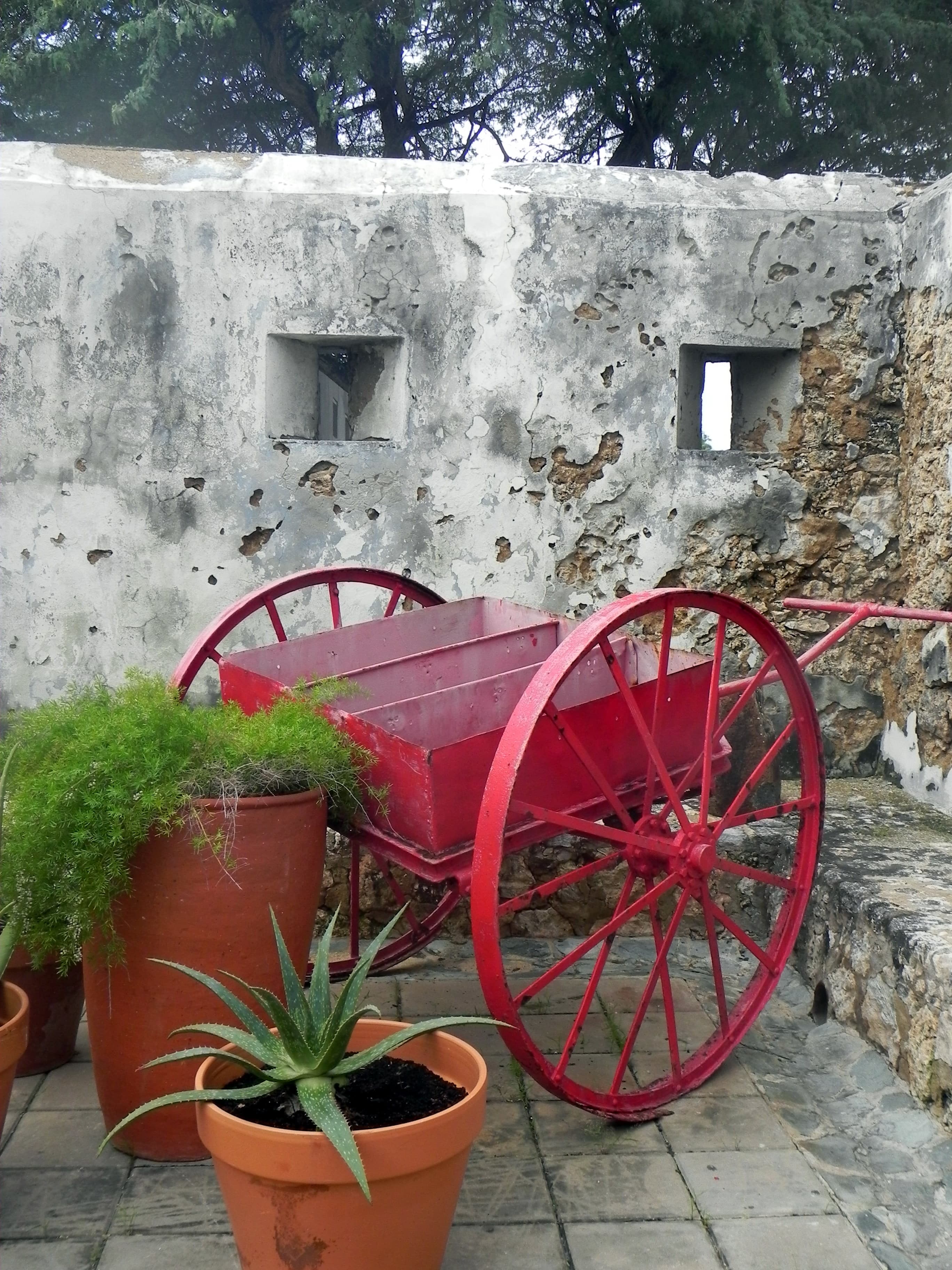 Nice little decorative setting inside the fort