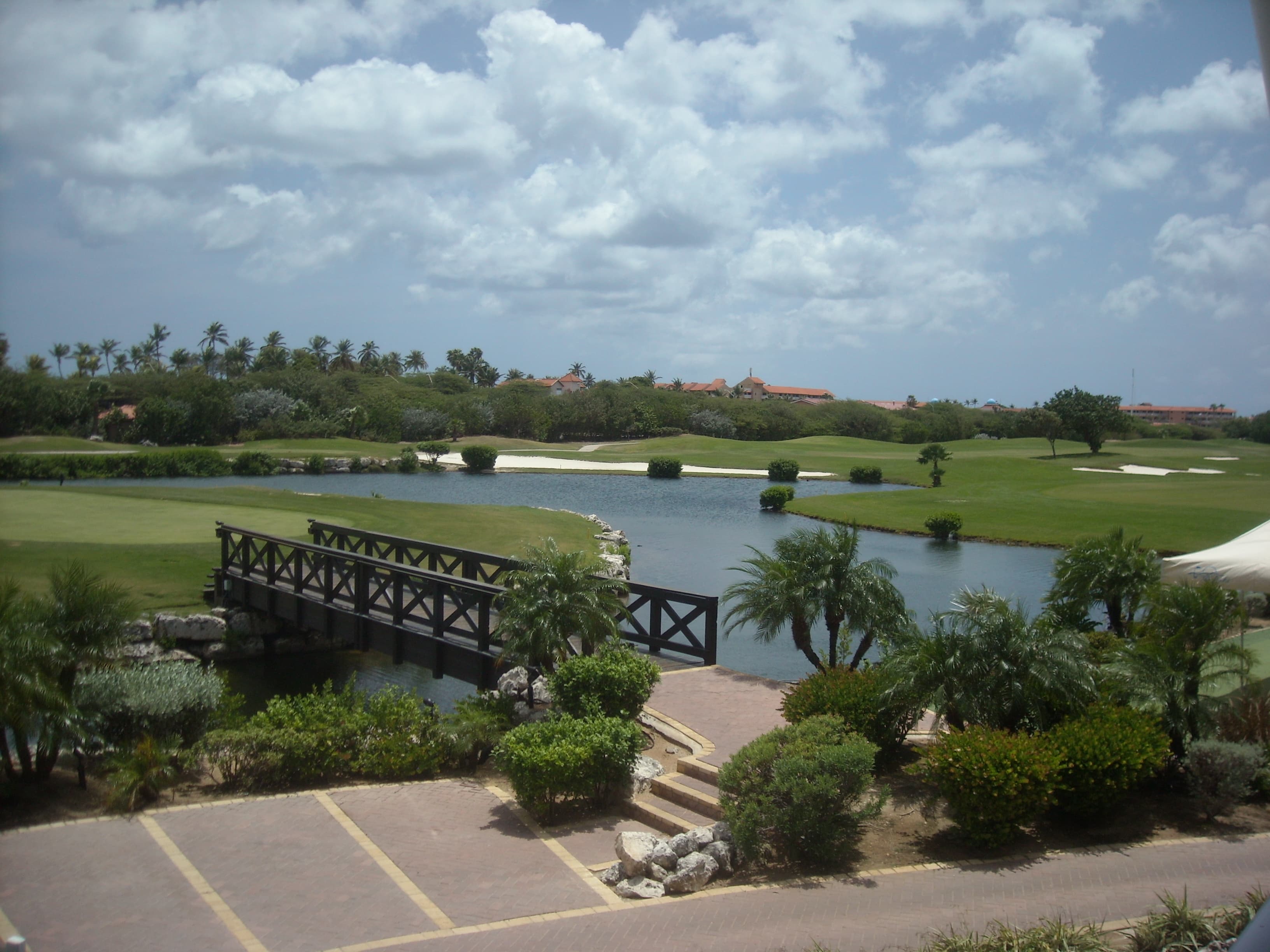 View from Mulligans