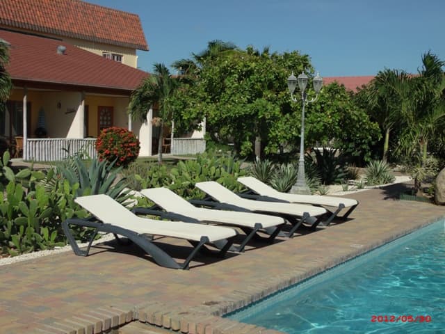 Camacuri Apartments relaxe terrace