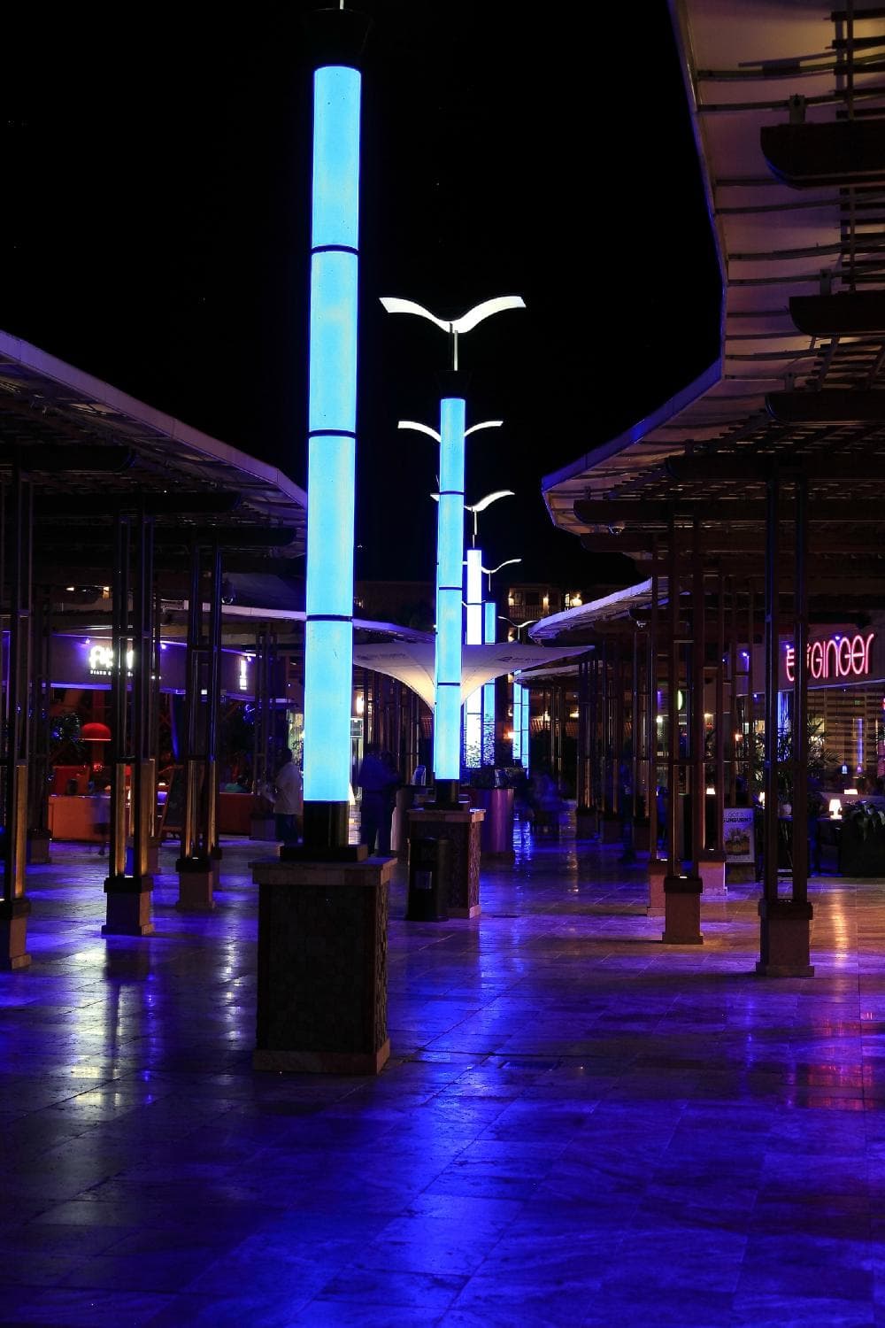 The shops at night.
