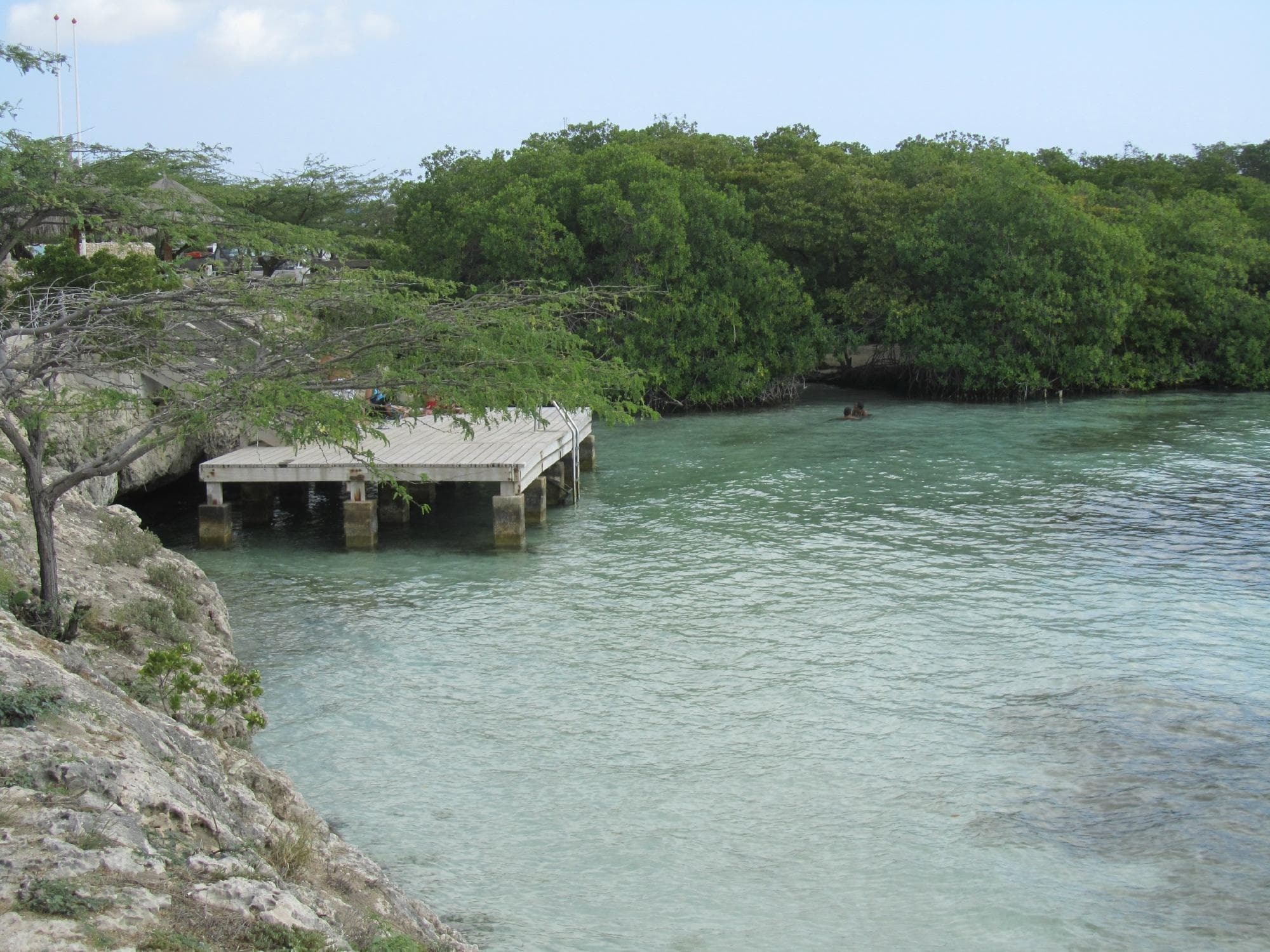 Mangel Halto Beach  Aruba