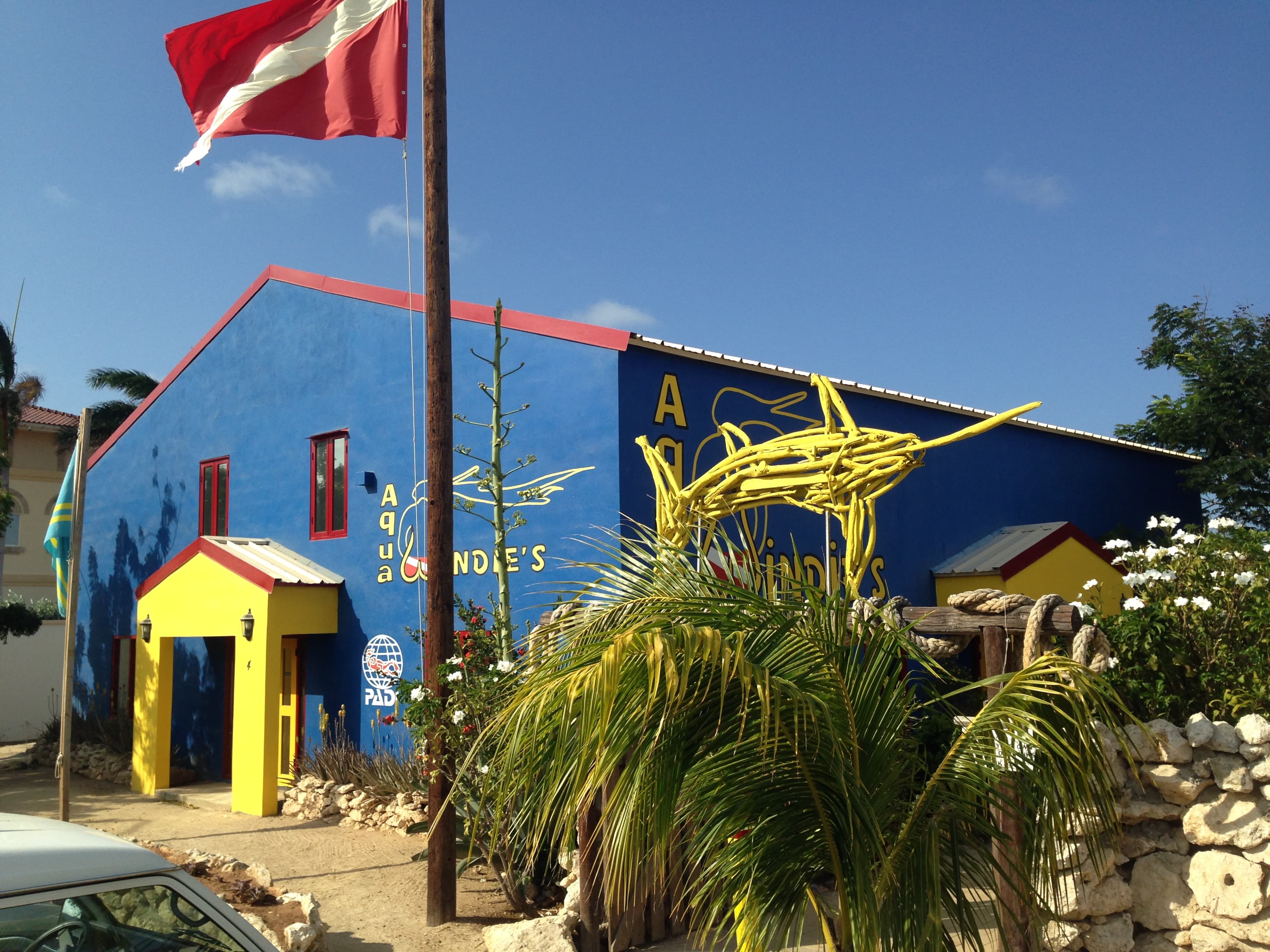 Aqua Windie's Home Base