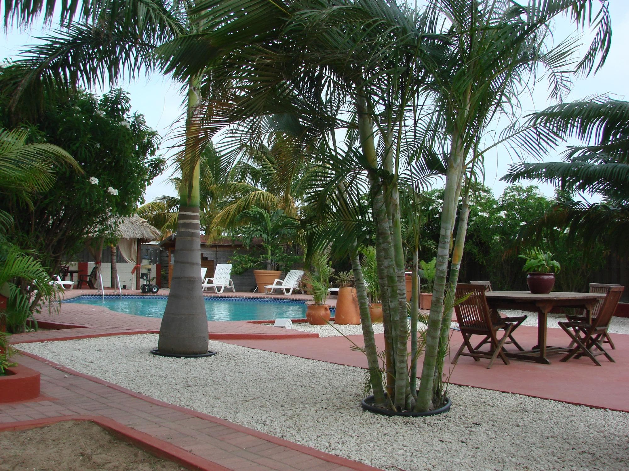 Tropical Garden