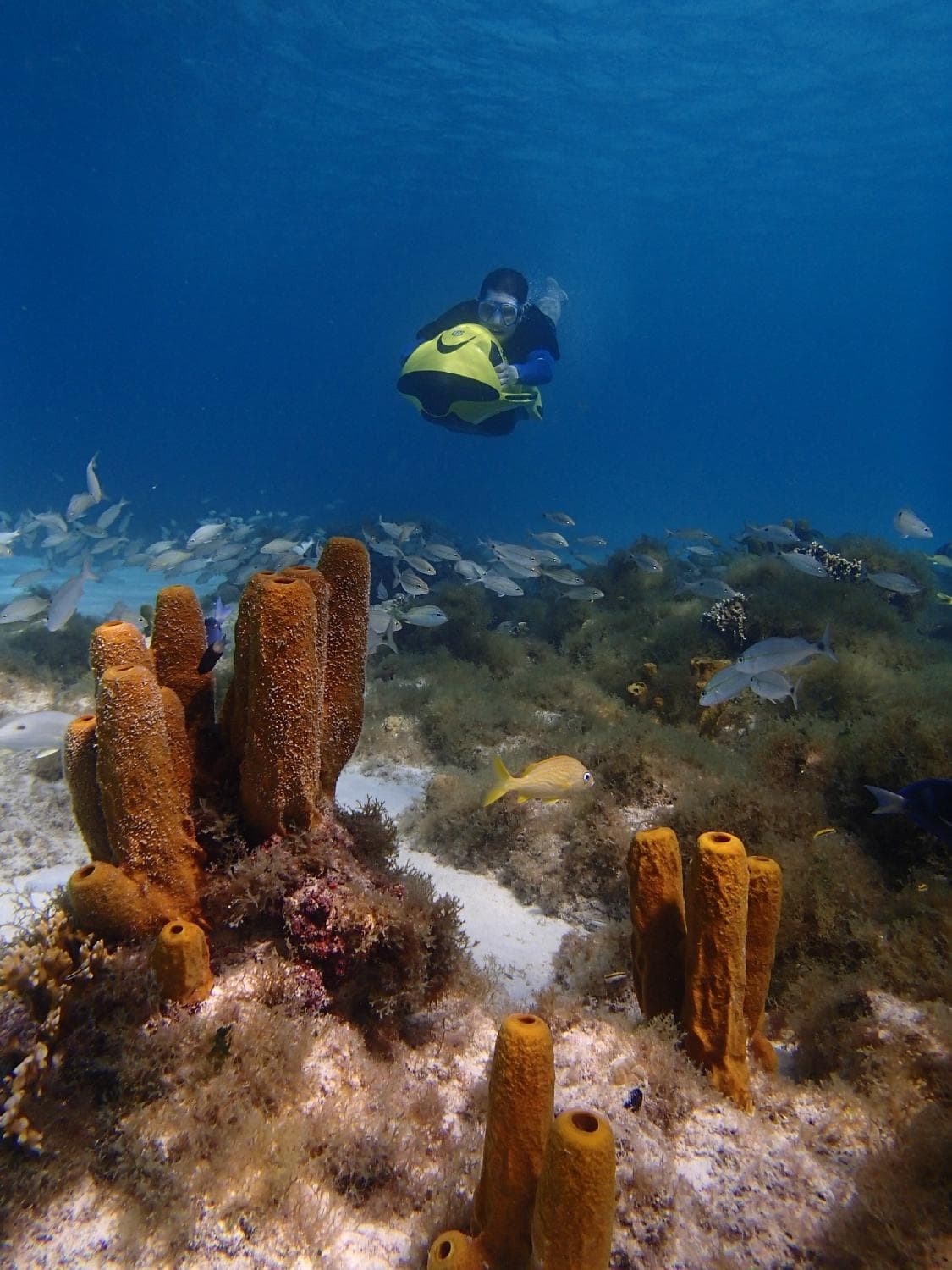 Seabob Aruba -