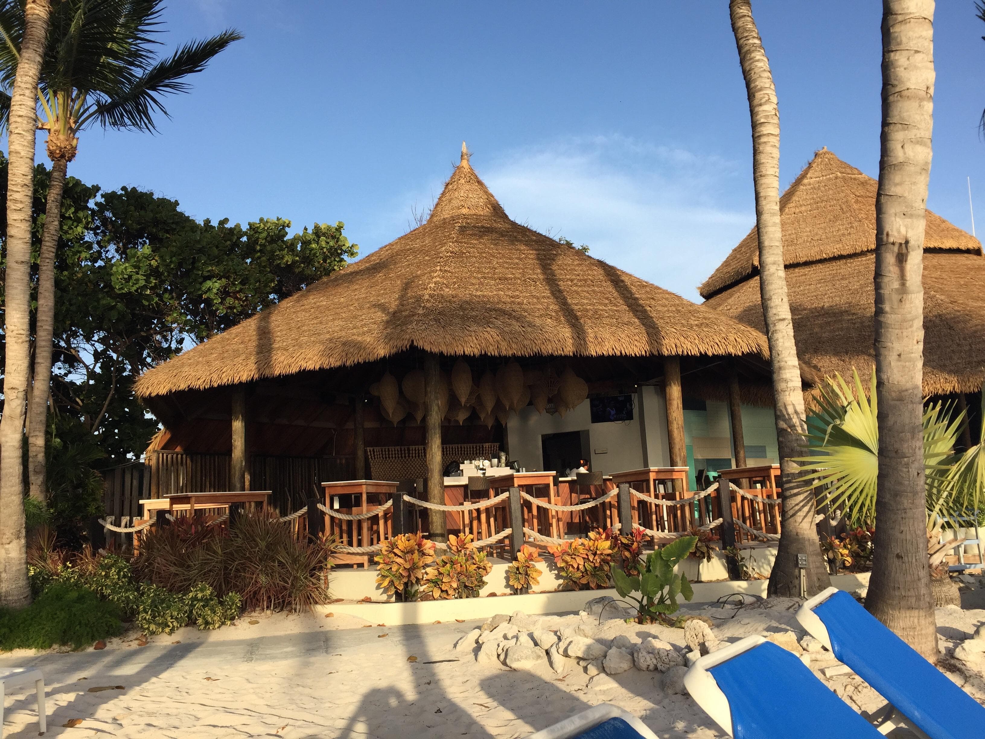 The bar & grill