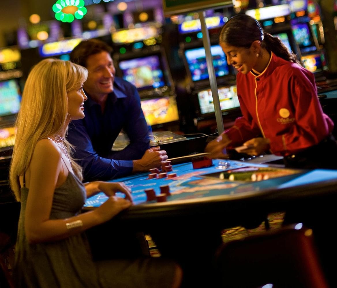 Exciting table games, join us after dinner daily action