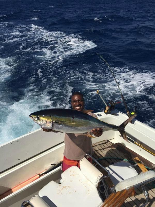 Nice Yellowfin tuna