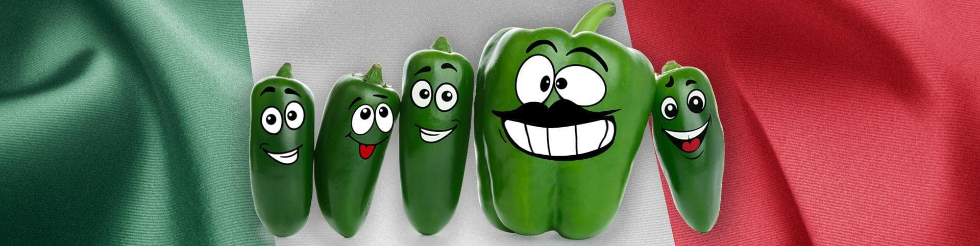 Our family picture. Mom, Dad and our children
