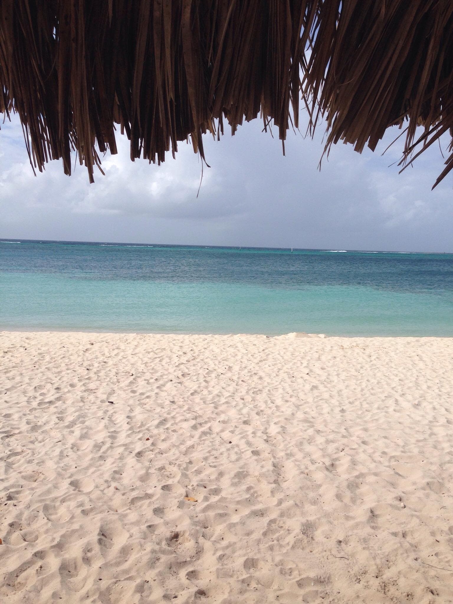 Rodgers Beach at TripAdvisor