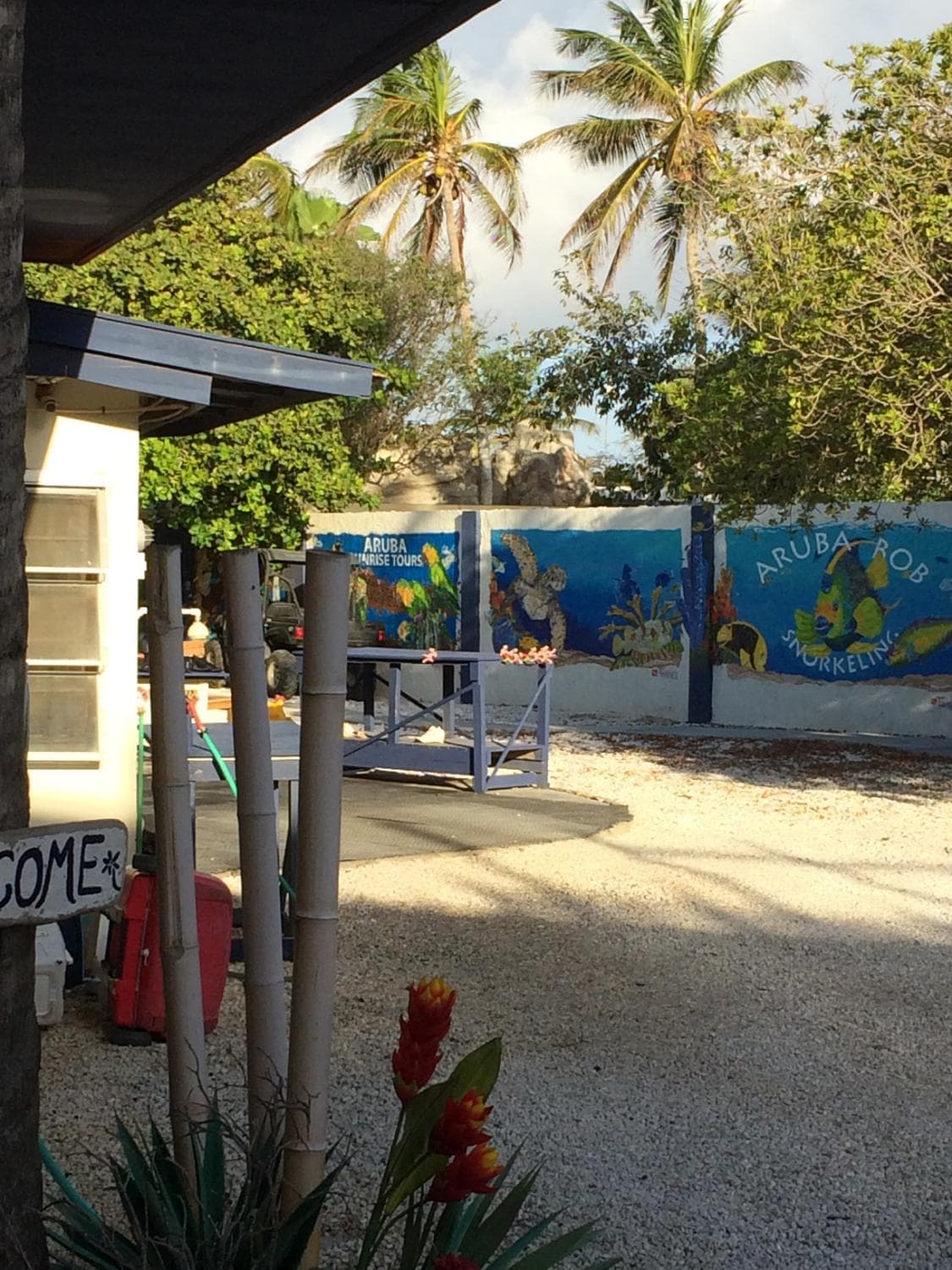 Aruba Bob's snorkel tours are part of the property