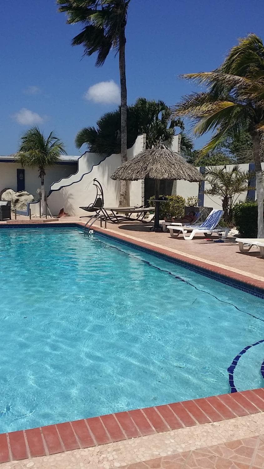 Driftwood Gardens at TripAdvisor