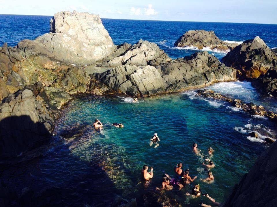Natural pool