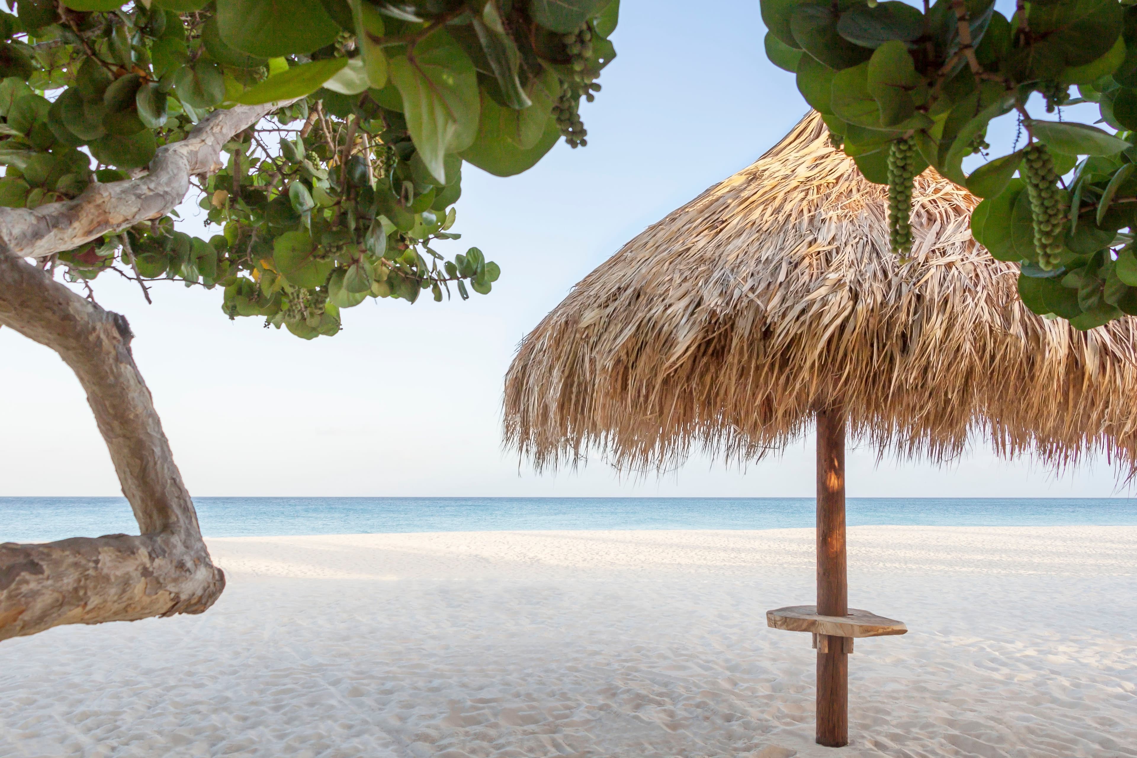 Manchebo Beach Resort & Spa