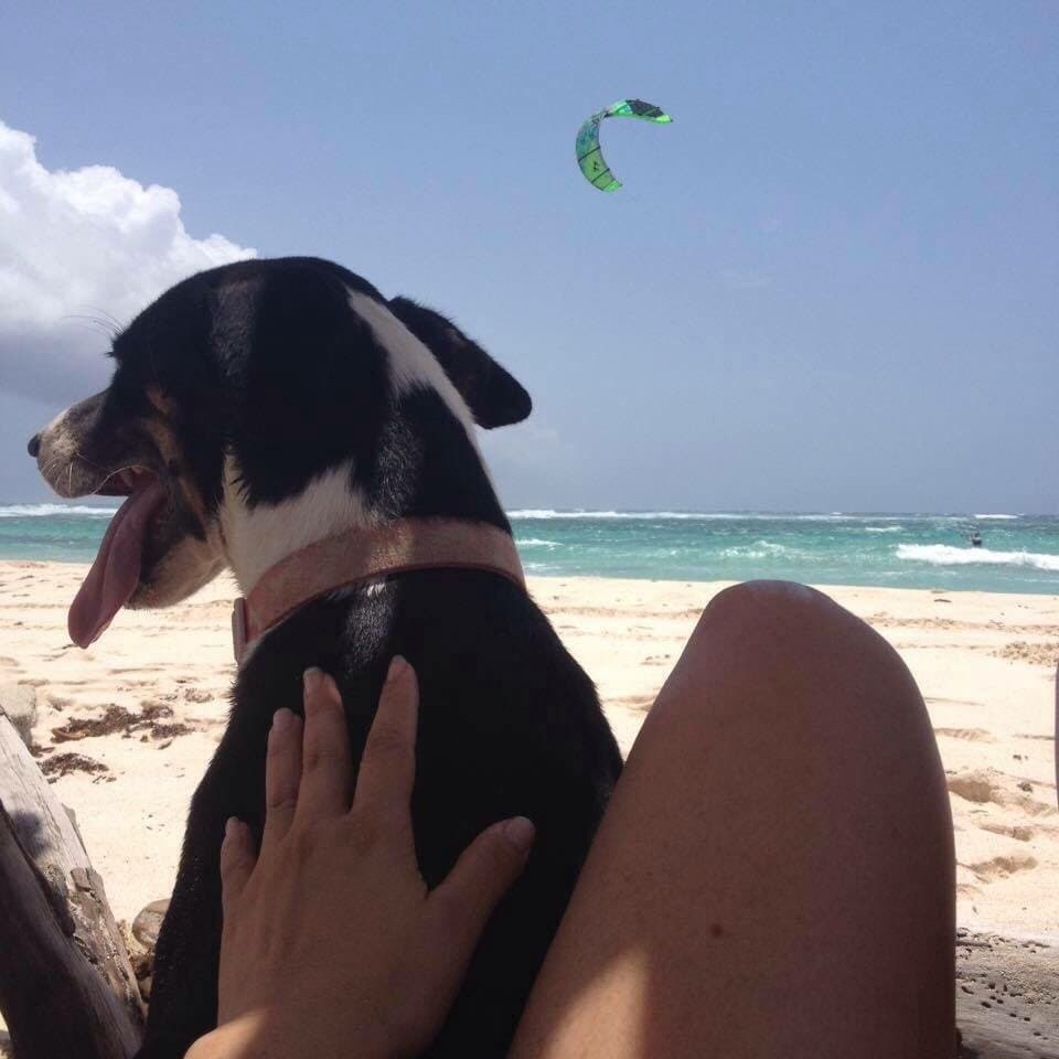 Si eres aventurero y quieres iniciarte en el mundo del Kite Aruba con sus playas y PKS con su Ma