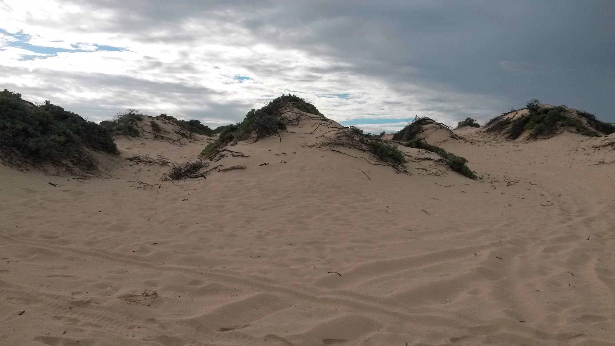 Dunas