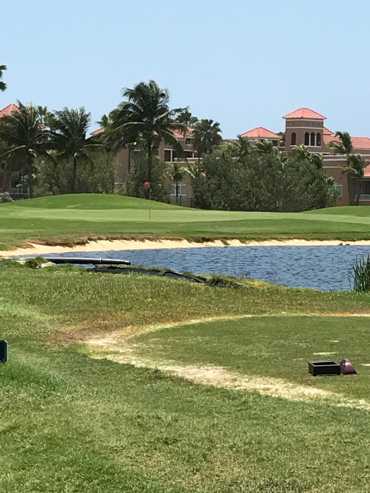Links at Divi Aruba at TripAdvisor