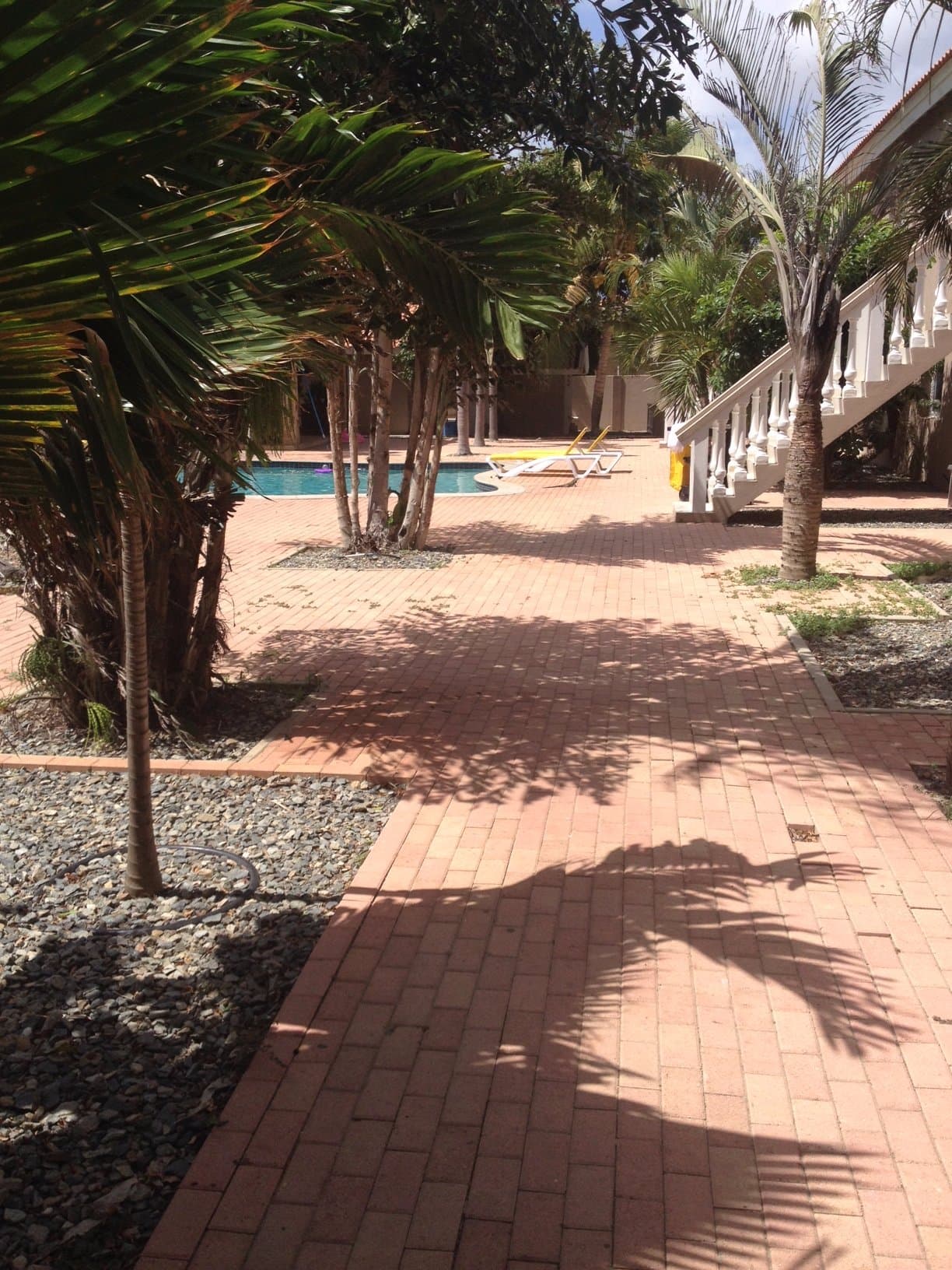 Marquee Apartments Aruba at TripAdvisor