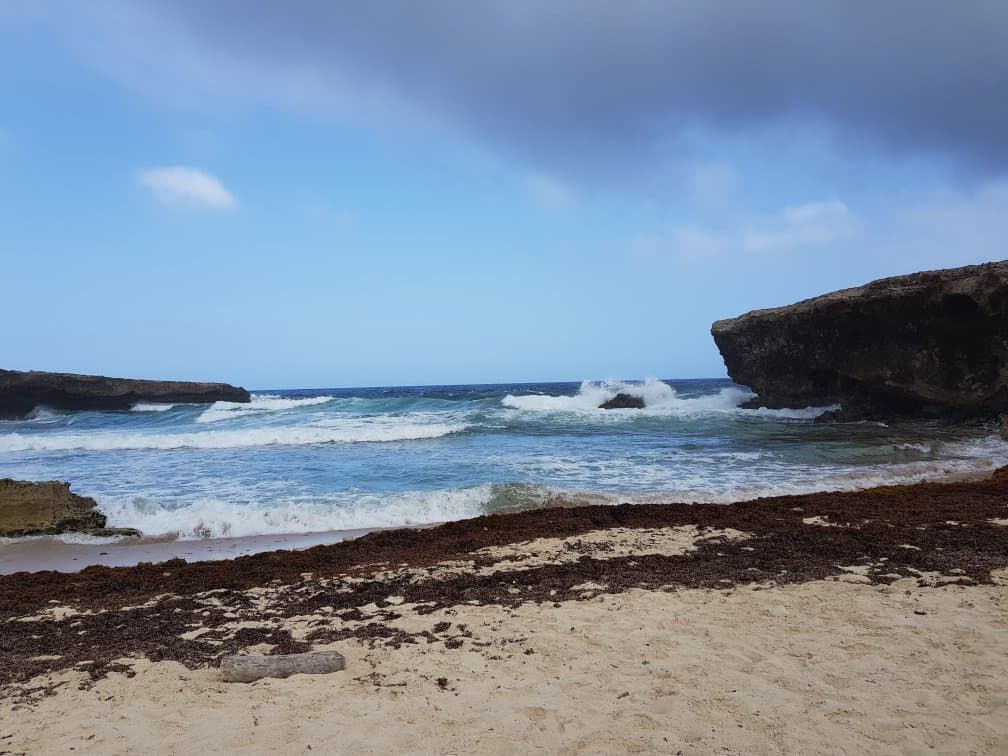 Grapefield Climbing Area at TripAdvisor