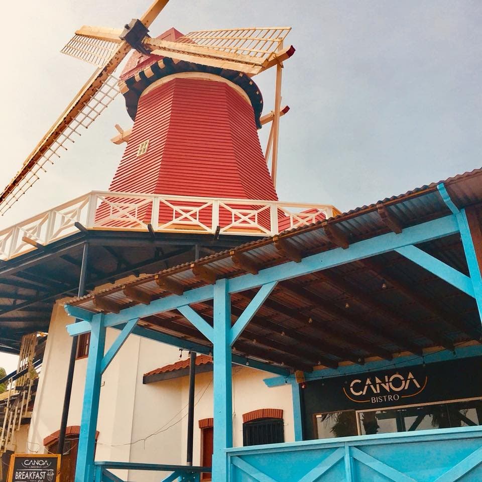 We are located under the old and famous Red Windmill! Just in front of the Riu Hotel!
