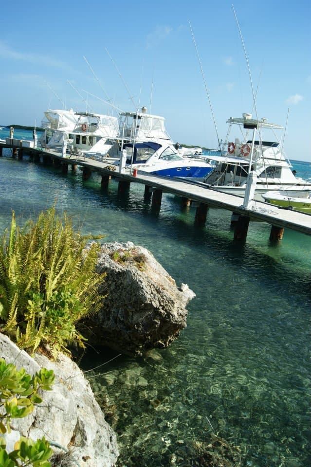 our pier