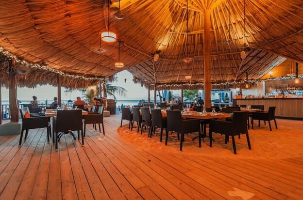 Palapa