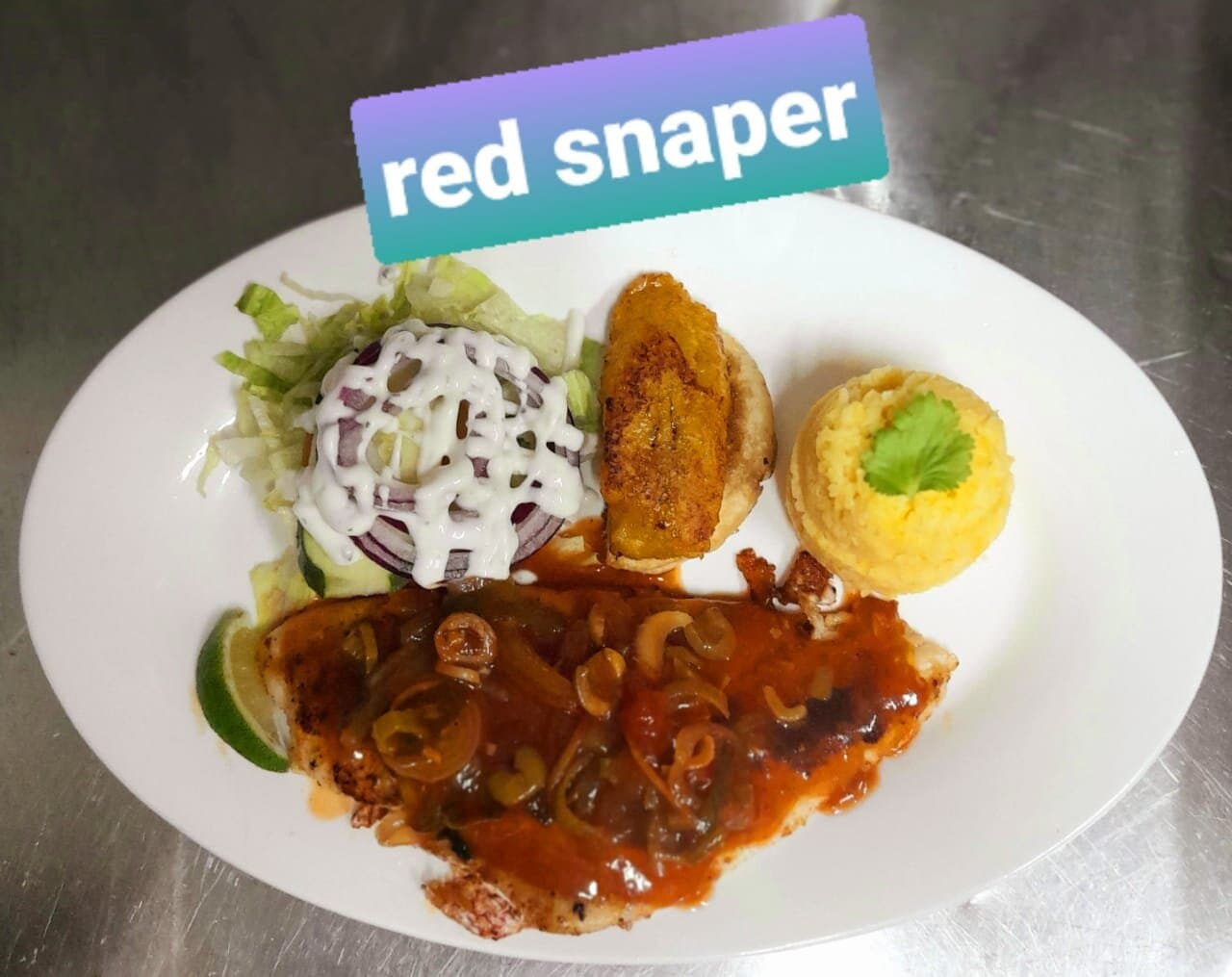 Red Snapper