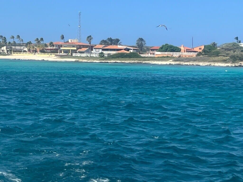 Jane Sea Shipwreck at TripAdvisor