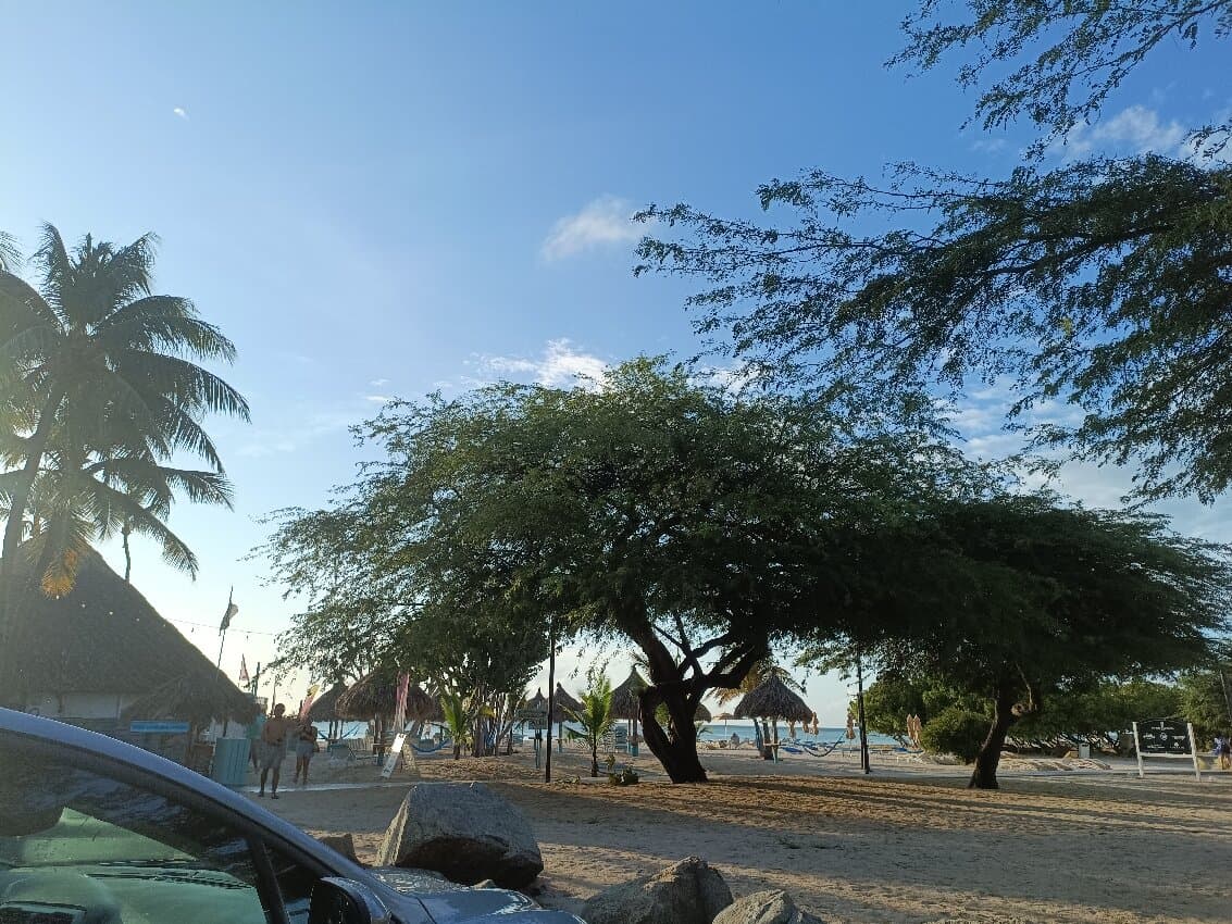 Hadicurari Beach at TripAdvisor