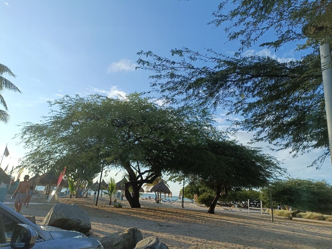 Hadicurari Beach at TripAdvisor