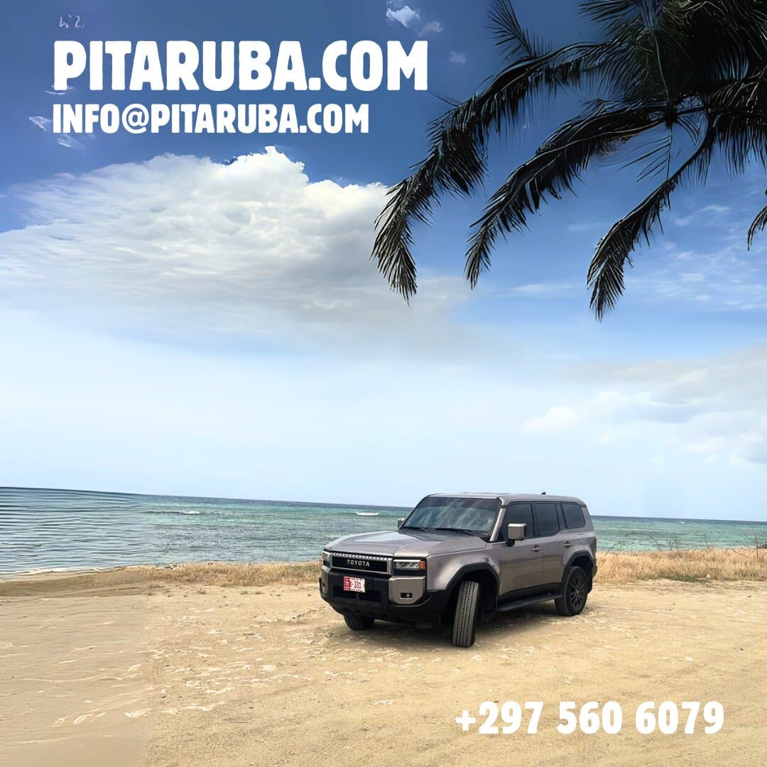 Discover Aruba at Your Own Pace - With a Local Guide You Can Trust Skip the maps, crowded buses, and bumpy off-road rides - and let me show you Aruba your way. My name is Cerry, and I would be honored to show you the beauty of Aruba through a private, comfortable tour — tailored just for you.