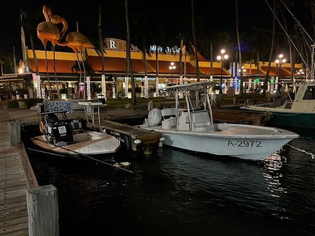 Fly Fishing Aruba Private Tours at TripAdvisor