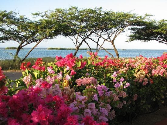 The beautiful gardens