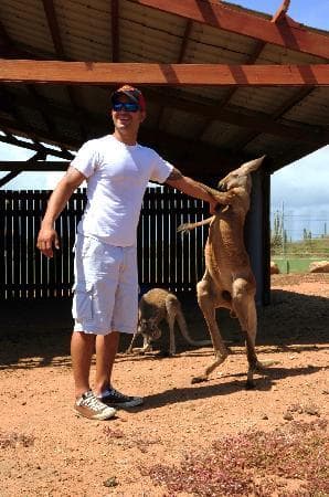 kangaroo