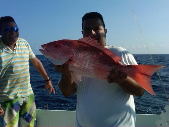 Red Snapper