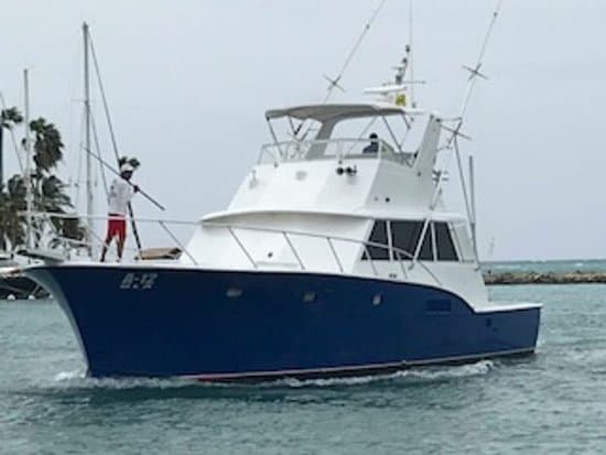 Ola Sport Fishing Aruba at TripAdvisor