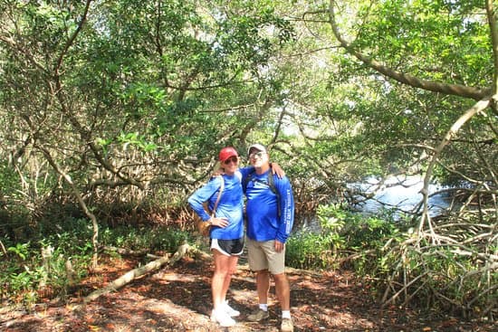 Fins & Feet Nature Tours at TripAdvisor
