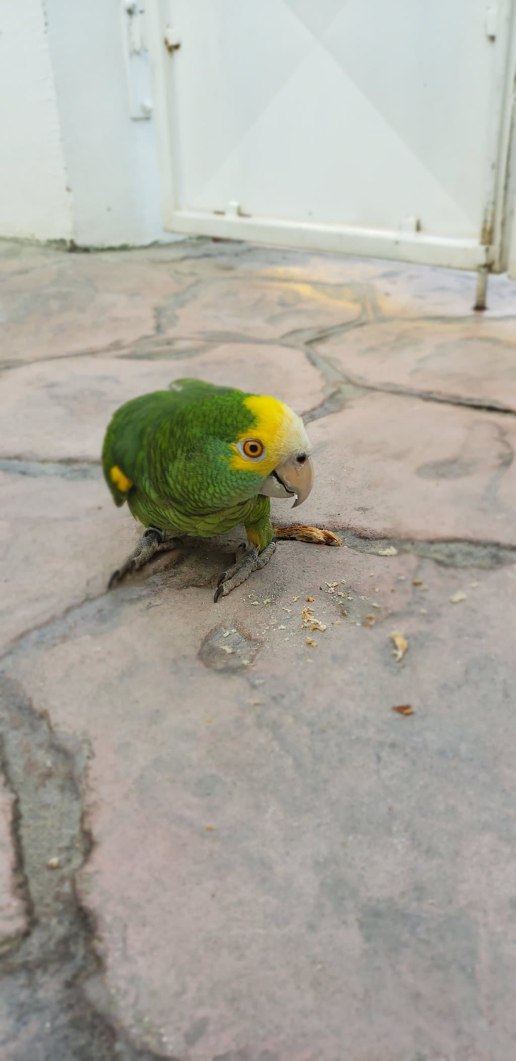 Posada San Barbola at TripAdvisor