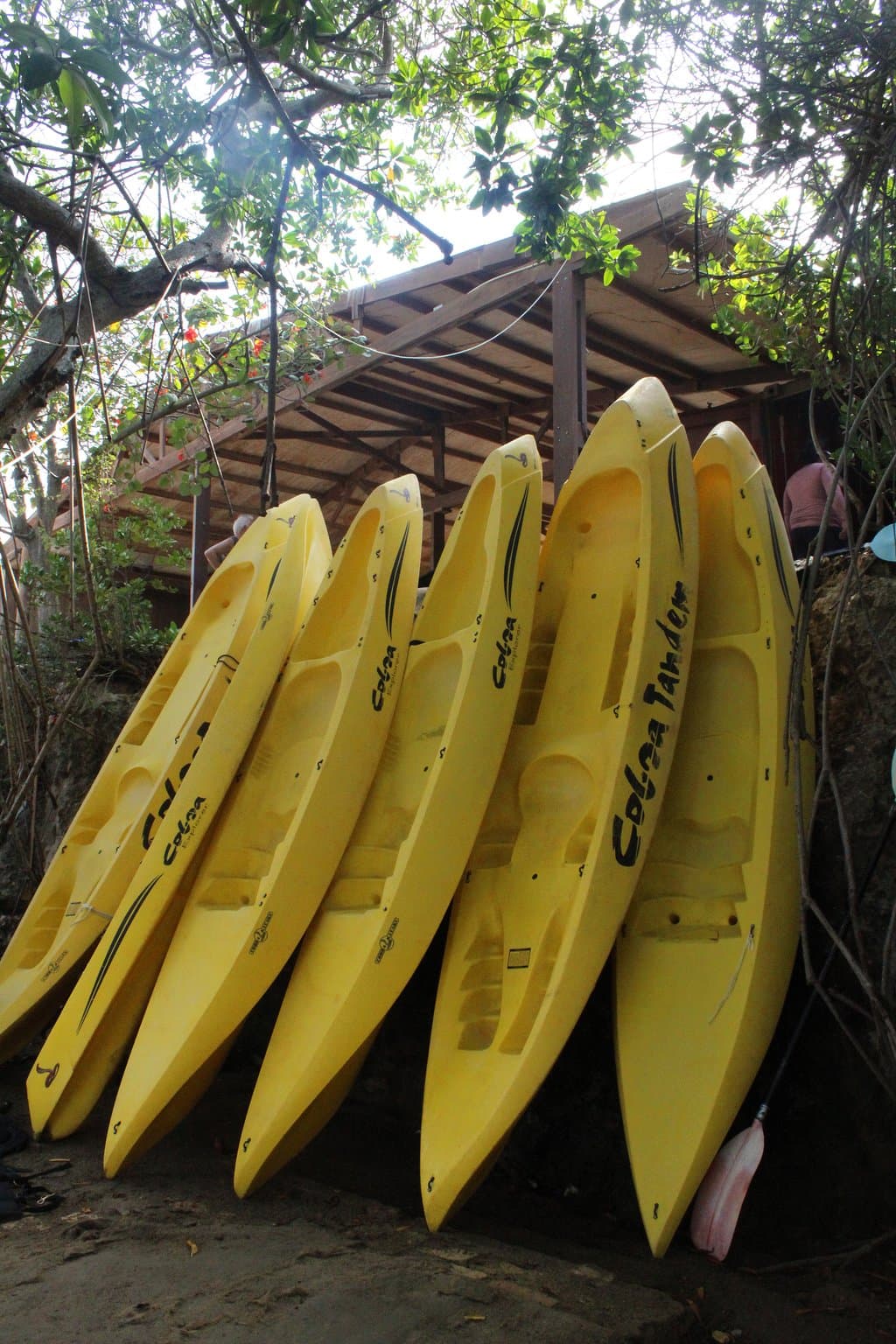 Kayak Tour Aruba
