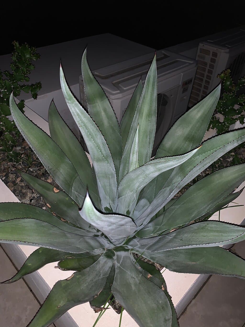 Koyari Modern Condos Aruba at TripAdvisor
