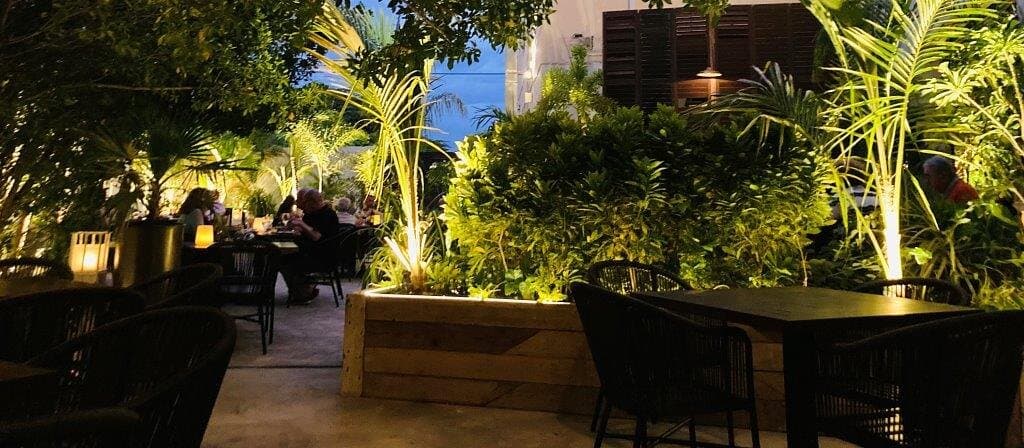 Sneak peek of our Speakeasy city garden!