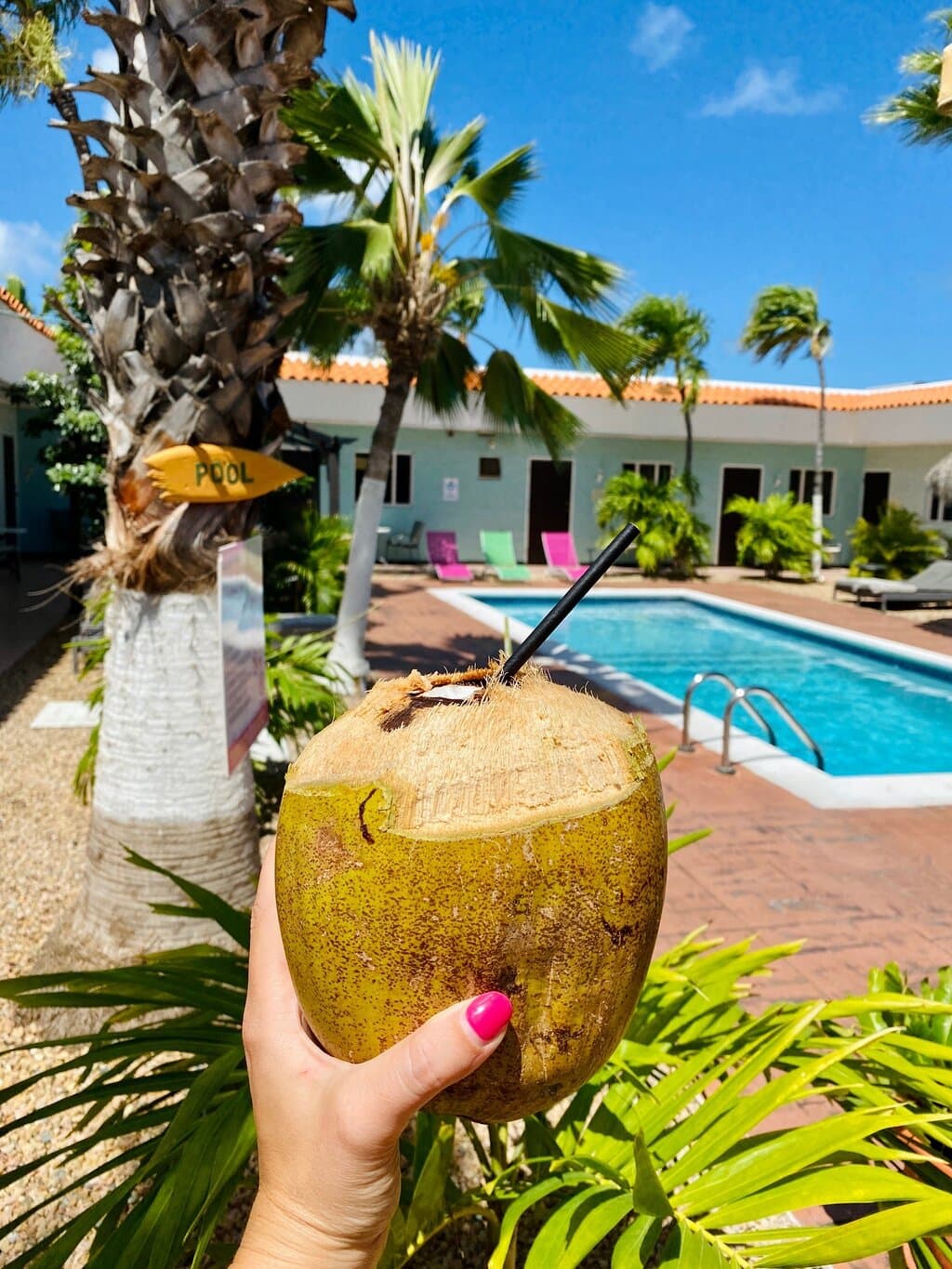 Arubiana Inn at TripAdvisor