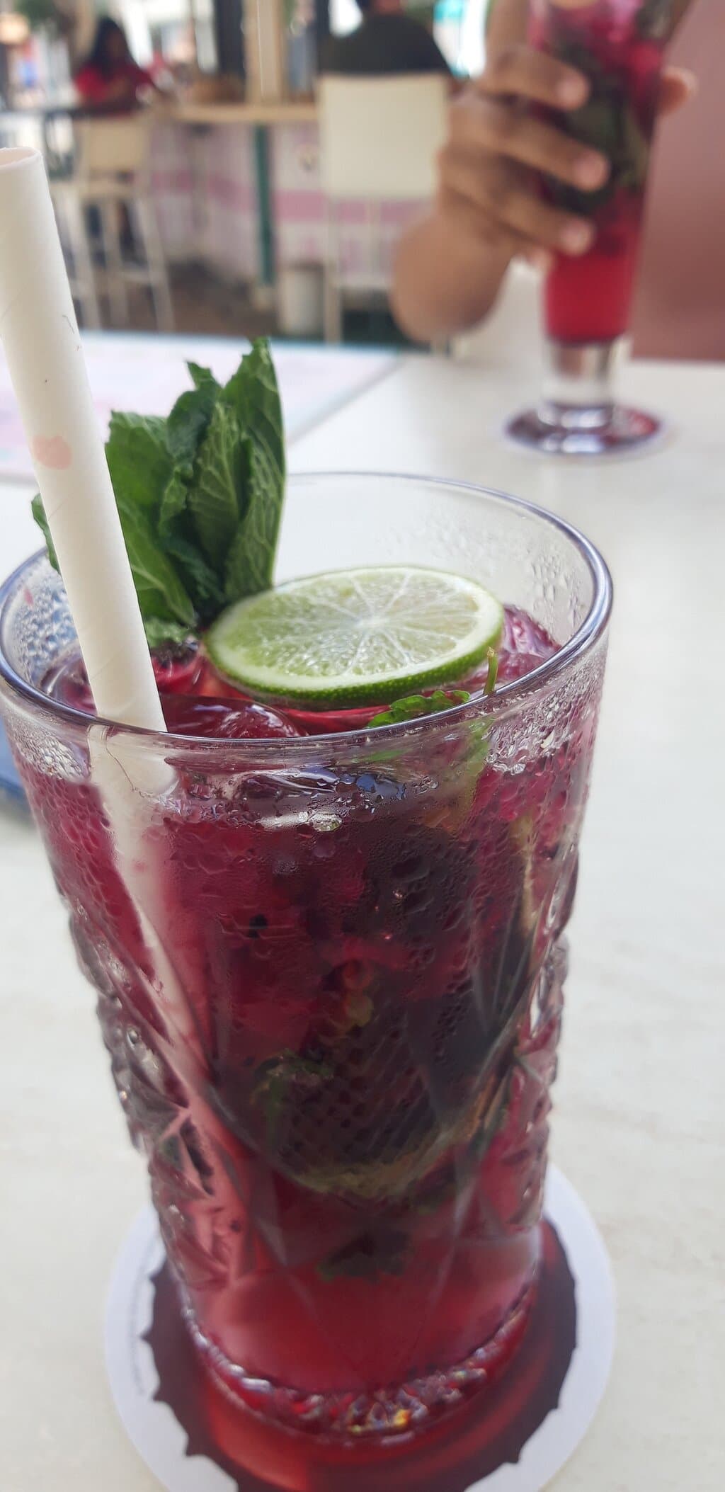 Hoya at TripAdvisor