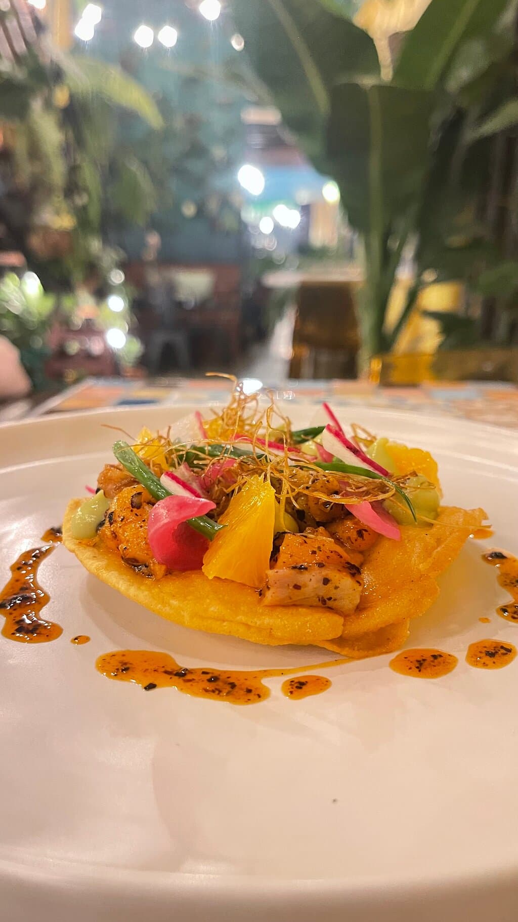 Tostada. Norwegian salmon marinated in Mexican flavors