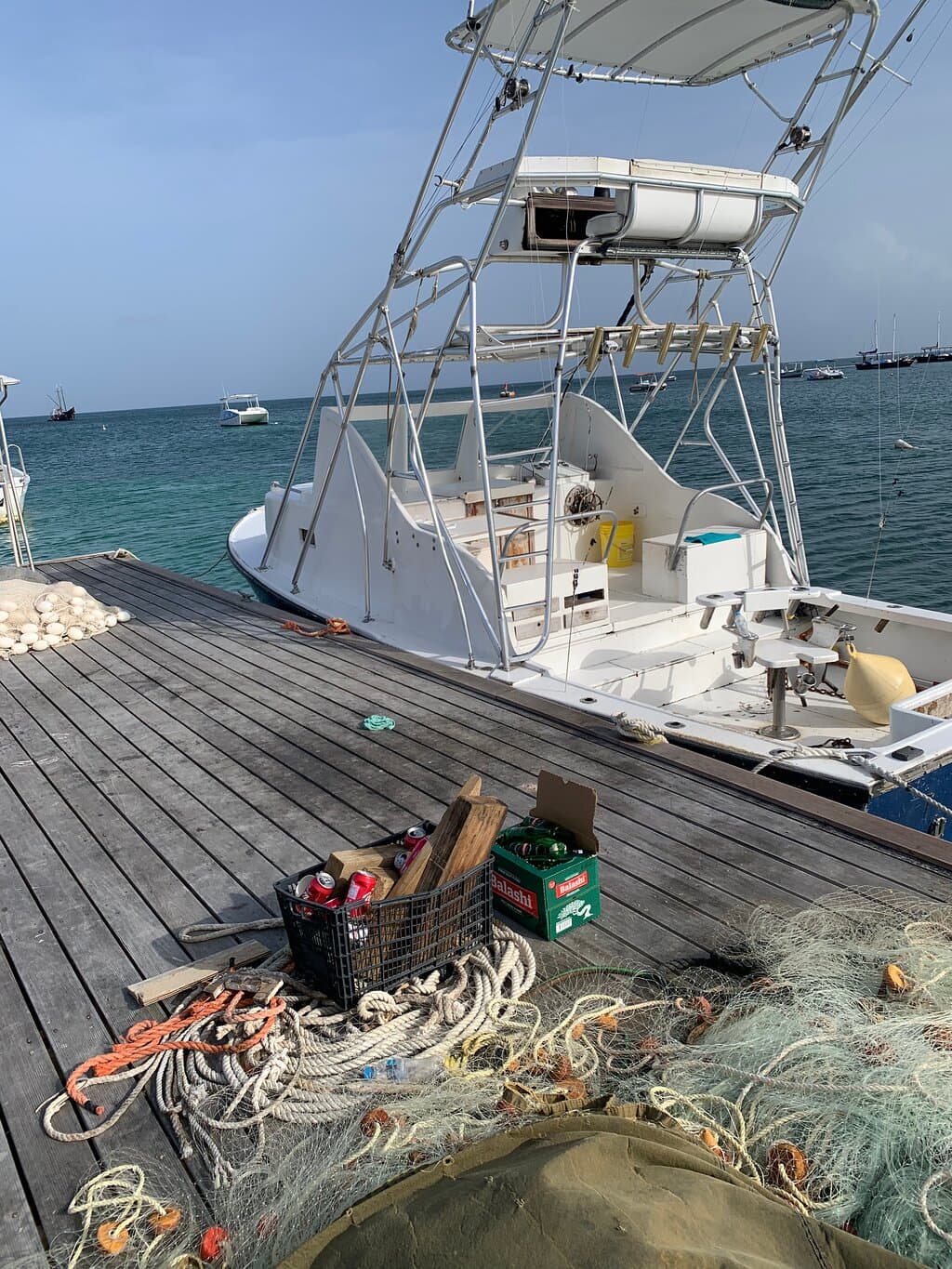 Aruba Fishing Trips at TripAdvisor